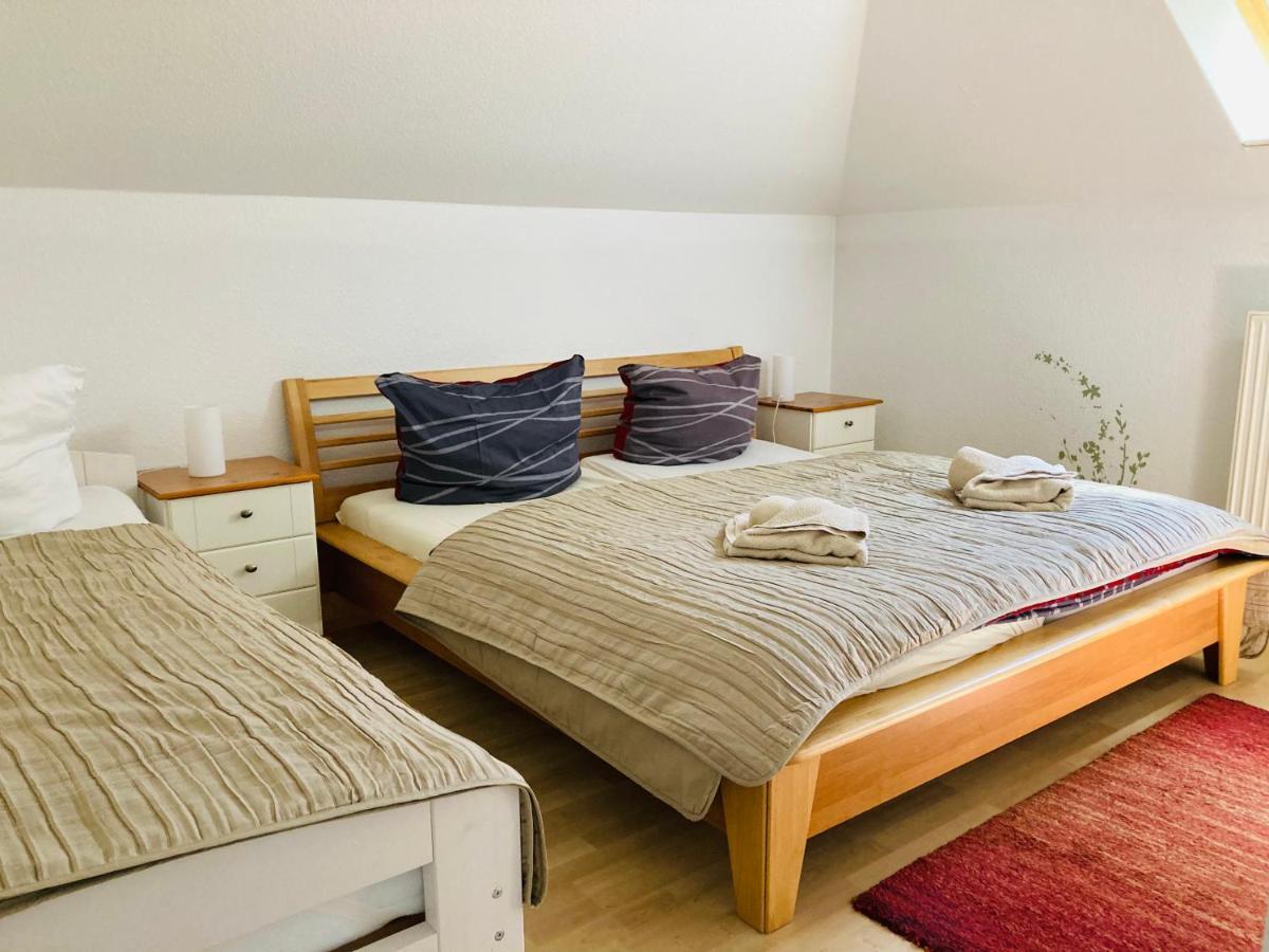 Fewo VI Villa Nicole Hafenstrasse 37 ツィングシュト エクステリア 写真